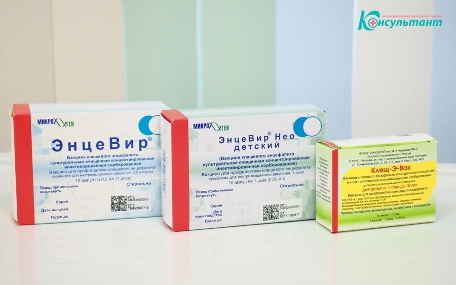 Заморозки и снег им оказались нипочем. Массовая атака клещей.