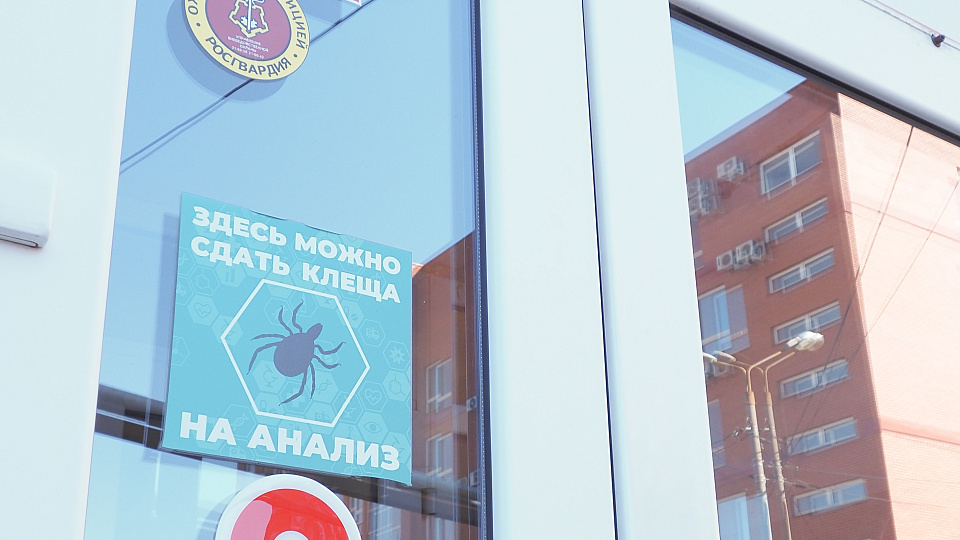МЦ «Консультант» получил награду от Яндекса «Хорошее место 2025»!